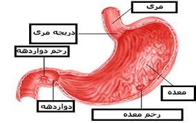 خونریزی معده