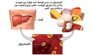 کاهش کلسترول