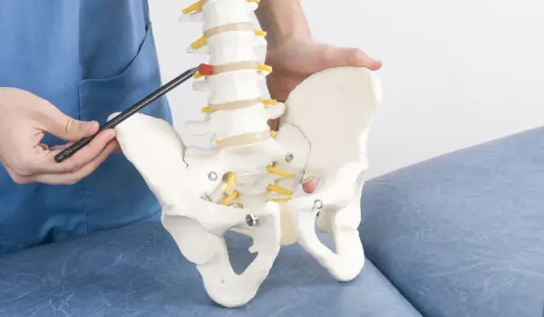 نحوه عمل دیسک کمر