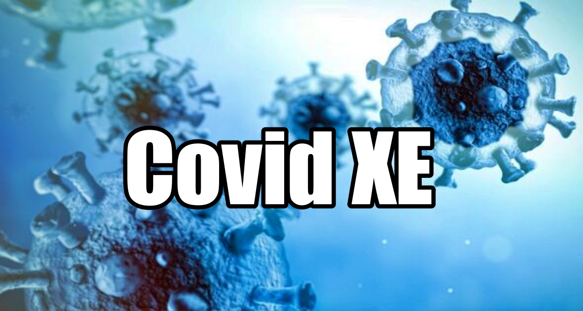 سویه جدید XE سویه کرونا