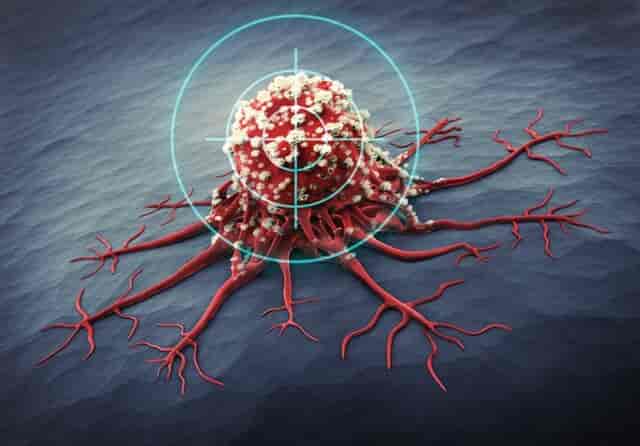 سلول سرطانی بیش از حد تکثیر و رشد میکند