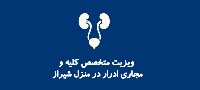 ویزیت متخصص کلیه و مجاری ادراری